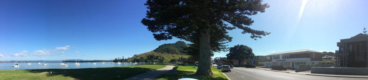 Westhaven Motel Tauranga Exteriér fotografie
